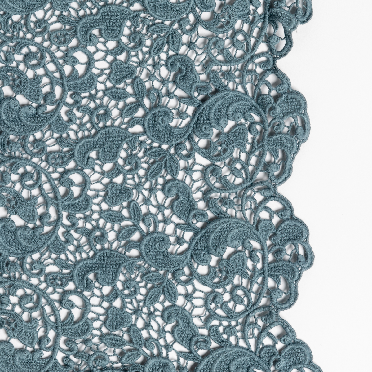 Cenote: a close up of cotton all-over lace with a scalloped edge.