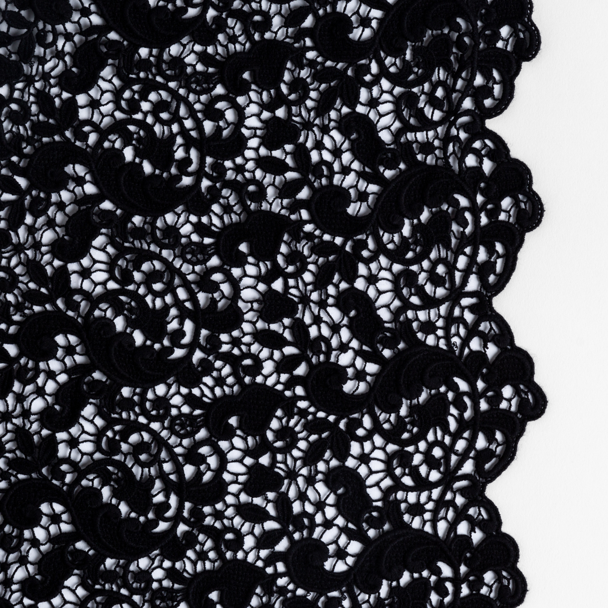 Corvino: a close-up of cotton all-over lace with a scalloped edge.