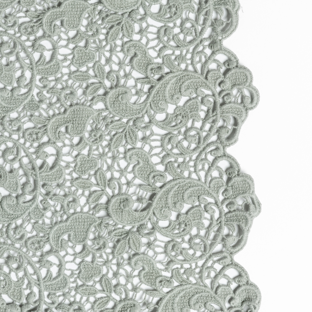 Eucalyptus: a close-up of cotton all-over lace with a scalloped edge.