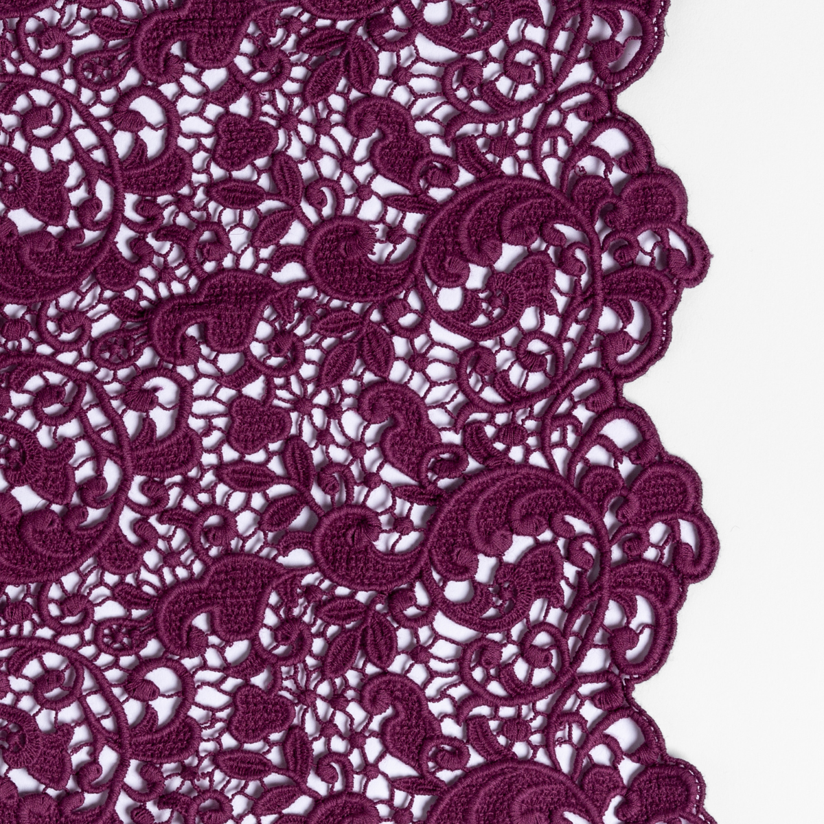 Fig: a close-up of cotton all-over lace with a scalloped edge.