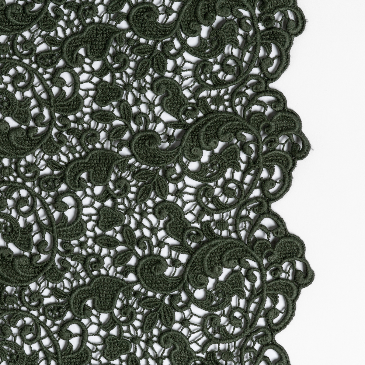 Juniper: a close up of cotton all-over lace with a scalloped edge.