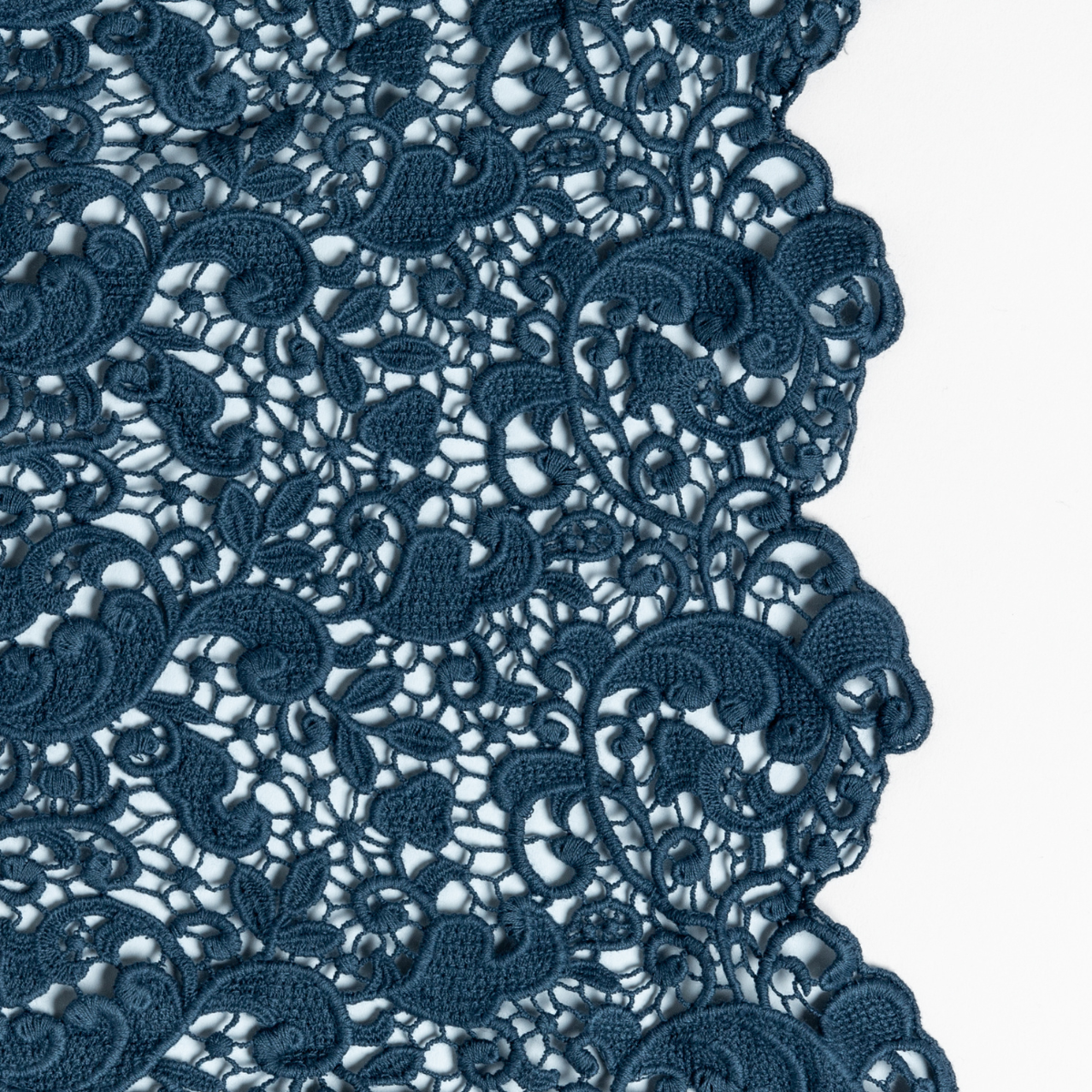 Midnight: a close-up of cotton all-over lace with a scalloped edge.