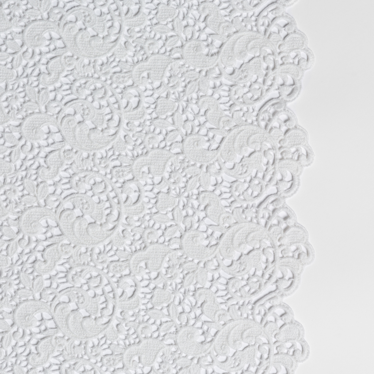 Winter White: a close-up of cotton all-over lace with a scalloped edge.