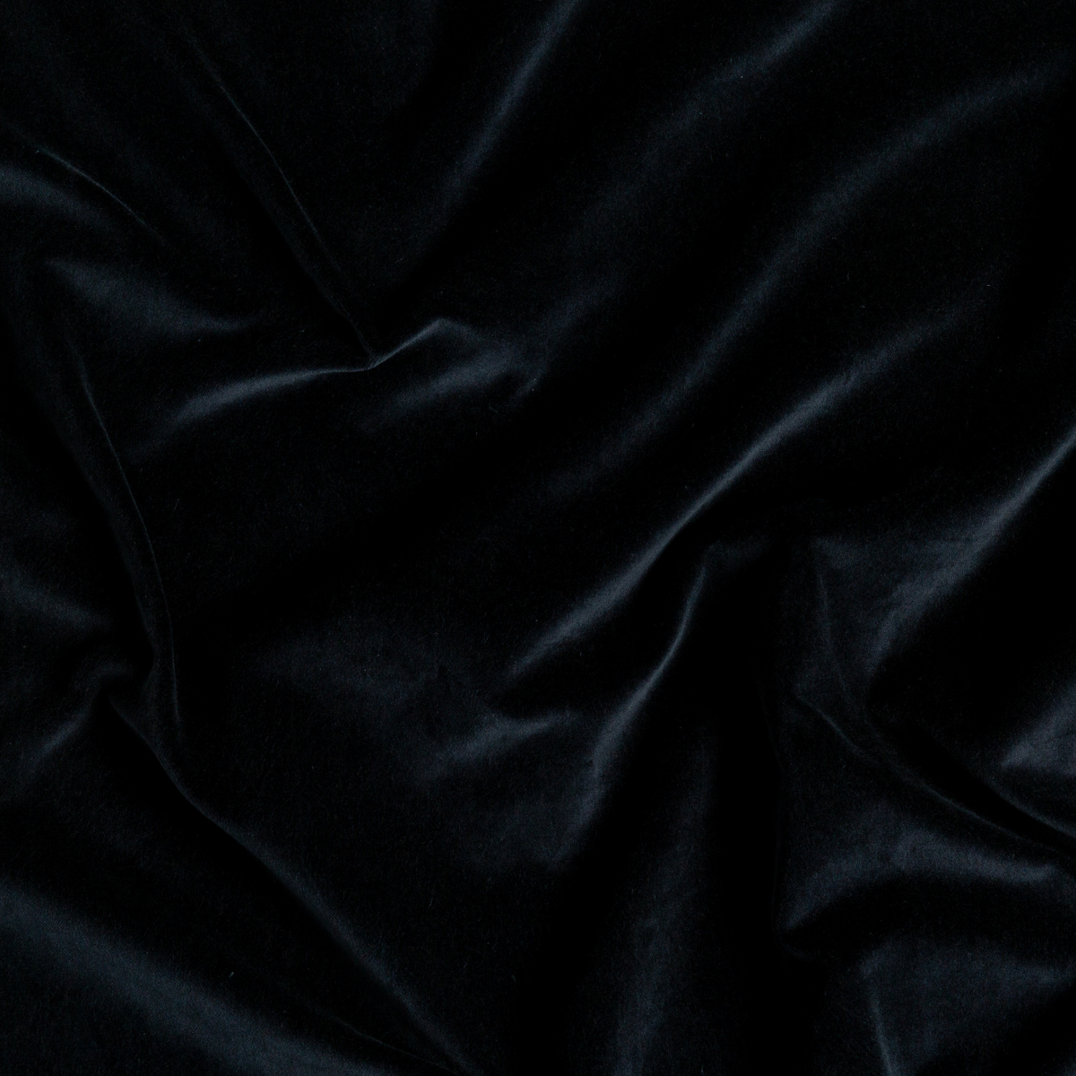 Corvino: A close up of cotton velvet fabric in Corvino, a black tone.