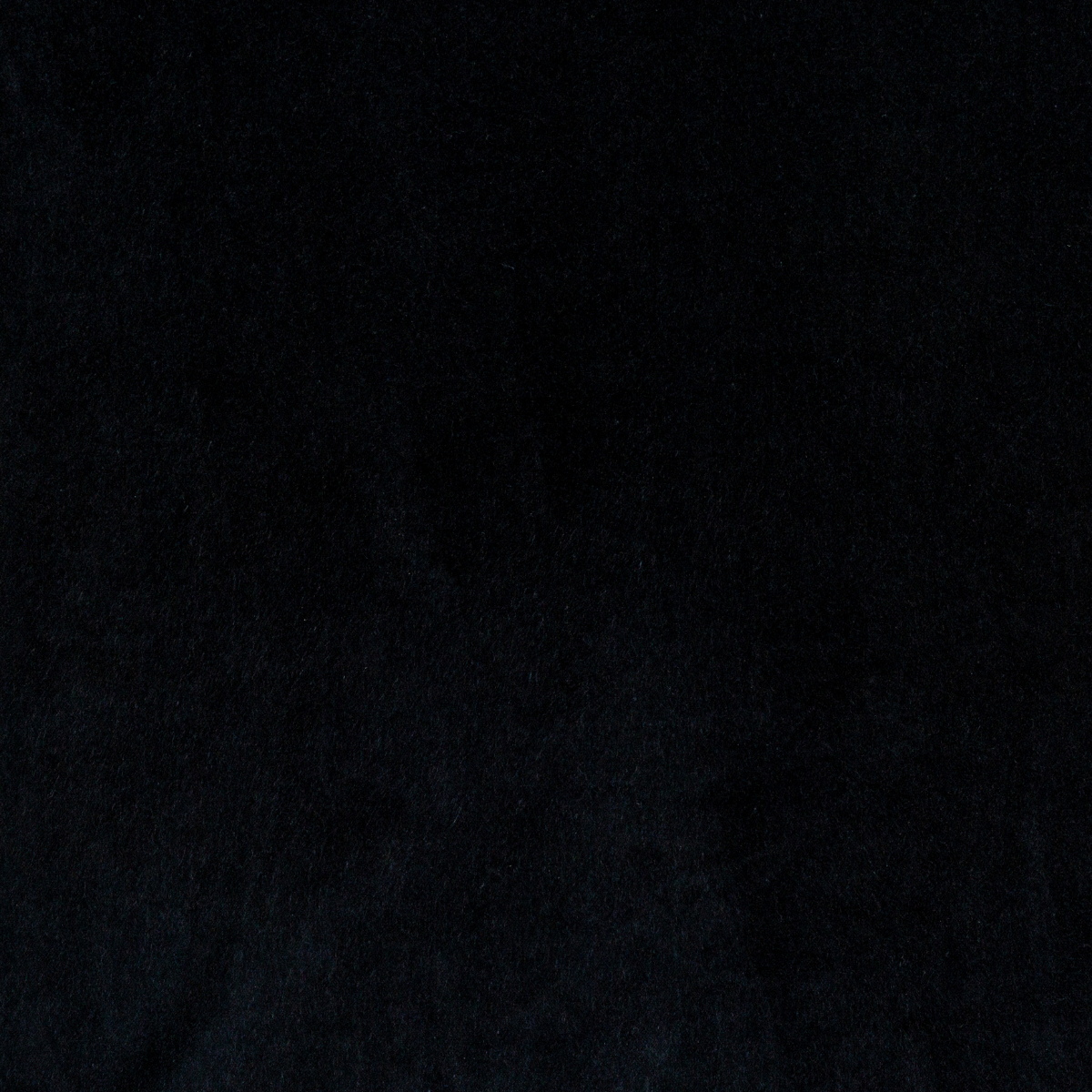 Corvino: A close up of cotton velvet fabric in Corvino, a black tone.