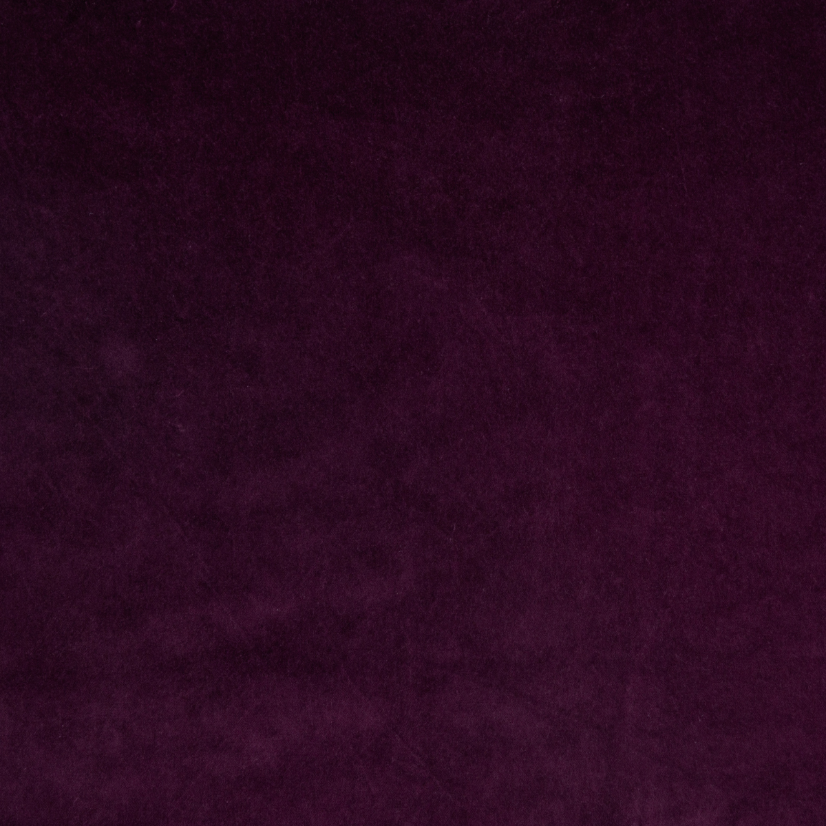 Fig: A close up of cotton velvet fabric in fig, a richly saturated purple-garnet.