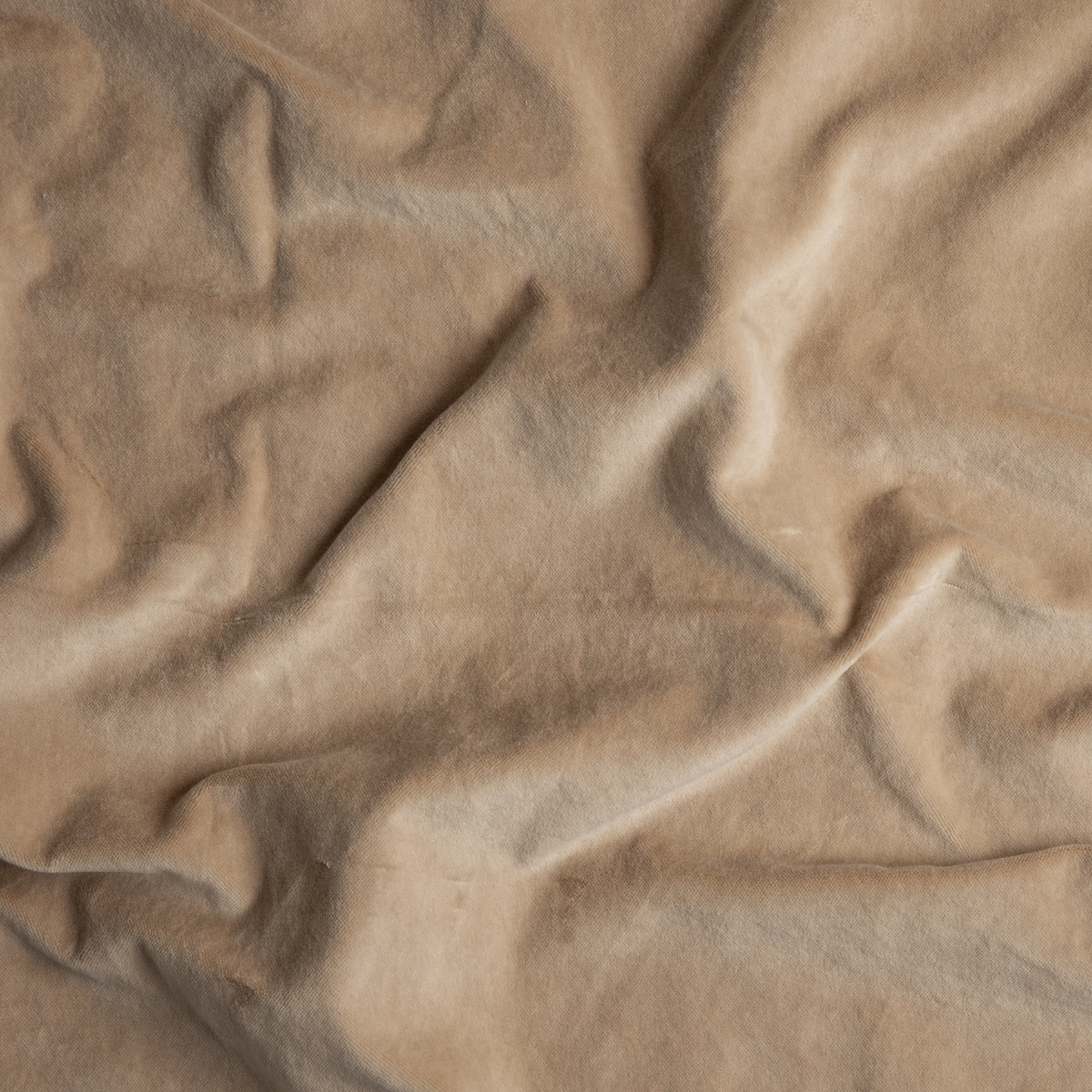 Honeycomb: A close up of cotton velvet fabric in honeycomb, a warm golden tone.