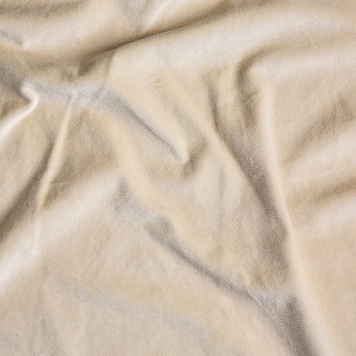 Parchment: A close up of cotton velvet fabric in parchment, a warm, antiqued cream.