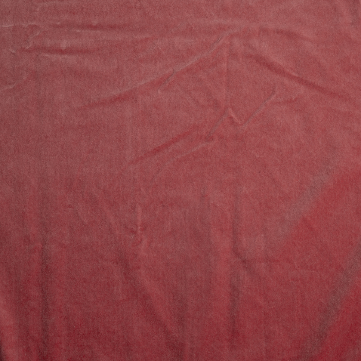 Poppy: A close up of cotton velvet fabric in poppy, a warm coral pink.