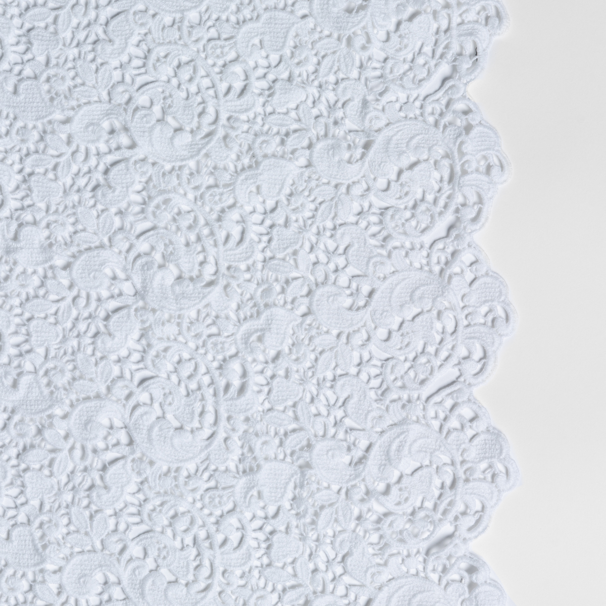 White: a close up of cotton all-over lace with a scalloped edge.