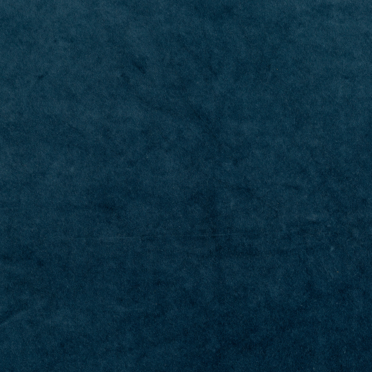 Midnight: A close up of cotton velvet fabric in midnight, a rich indigo tone.