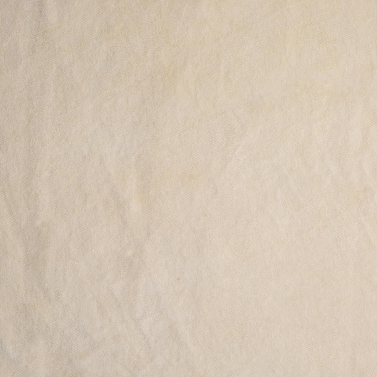 Parchment: A close up of cotton velvet fabric in parchment, a warm, antiqued cream.