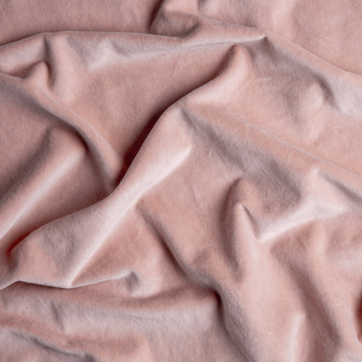 Rouge: A close up of cotton velvet fabric in rouge, a mid-tone blush pink.